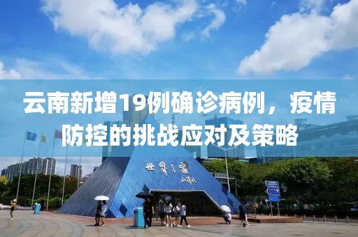 云南新增19例确诊病例，疫情防控的挑战应对及策略