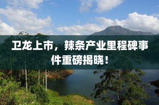卫龙上市，辣条产业里程碑事件重磅揭晓！