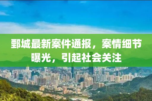 鄄城最新案件通报，案情细节曝光，引起社会关注