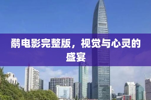 鹬电影完整版，视觉与心灵的盛宴