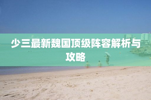 少三最新魏国顶级阵容解析与攻略
