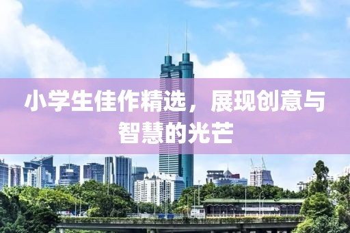 小学生佳作精选，展现创意与智慧的光芒