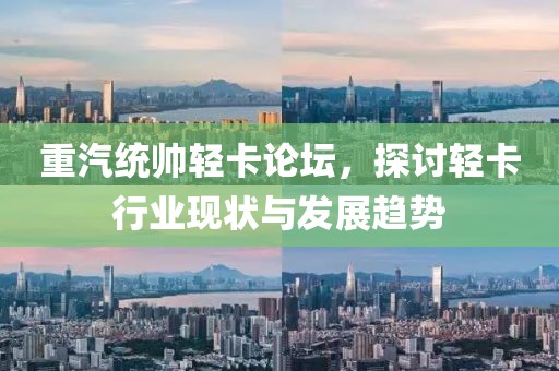 重汽统帅轻卡论坛，探讨轻卡行业现状与发展趋势