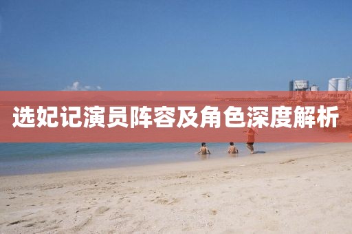 选妃记演员阵容及角色深度解析