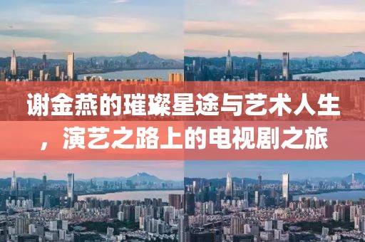谢金燕的璀璨星途与艺术人生，演艺之路上的电视剧之旅