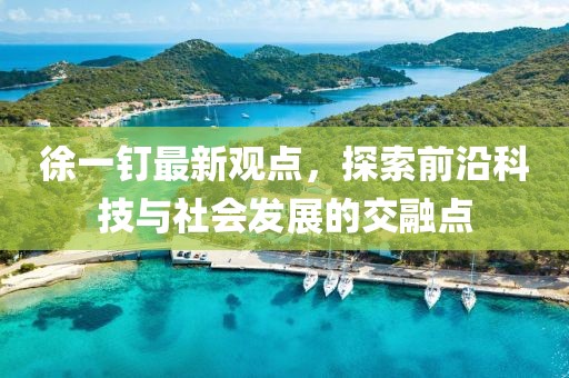 徐一钉最新观点，探索前沿科技与社会发展的交融点
