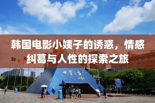 韩国电影小姨子的诱惑，情感纠葛与人性的探索之旅