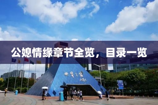 公媳情缘章节全览，目录一览