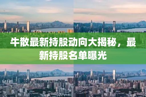 牛散最新持股动向大揭秘，最新持股名单曝光