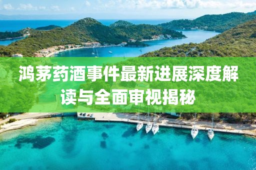 鸿茅药酒事件最新进展深度解读与全面审视揭秘