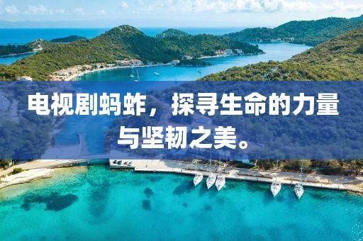 电视剧蚂蚱，探寻生命的力量与坚韧之美。