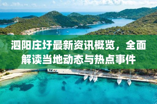 泗阳庄圩最新资讯概览，全面解读当地动态与热点事件