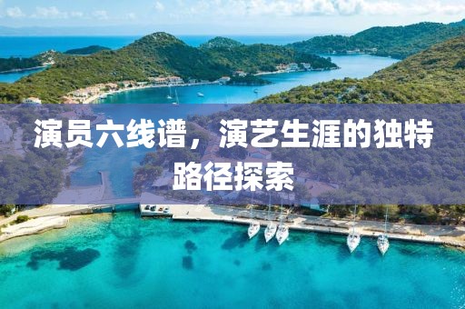 演员六线谱，演艺生涯的独特路径探索