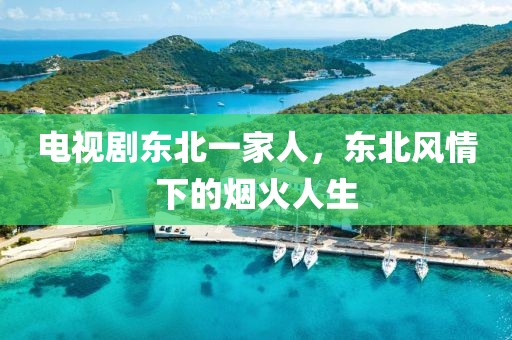 电视剧东北一家人，东北风情下的烟火人生