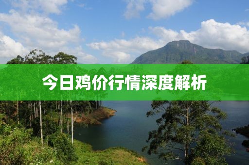今日鸡价行情深度解析