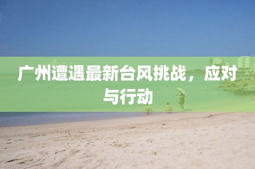 广州遭遇最新台风挑战，应对与行动
