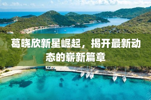 葛晓欣新星崛起，揭开最新动态的崭新篇章