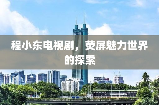 程小东电视剧，荧屏魅力世界的探索
