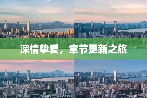 深情挚爱，章节更新之旅