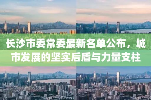 长沙市委常委最新名单公布，城市发展的坚实后盾与力量支柱