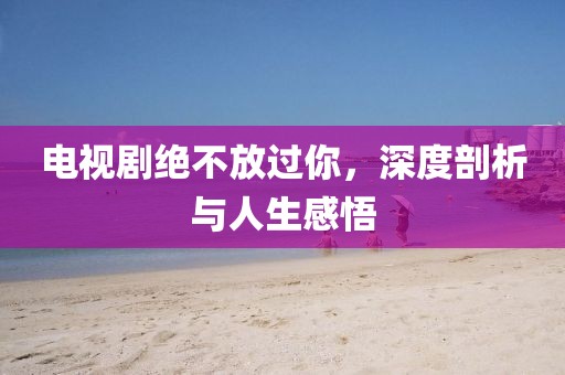 电视剧绝不放过你，深度剖析与人生感悟