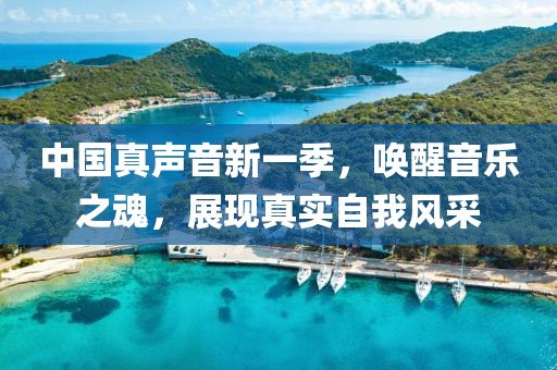 中国真声音新一季，唤醒音乐之魂，展现真实自我风采