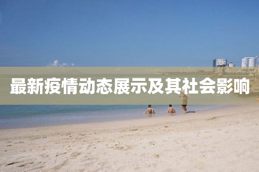 最新疫情动态展示及其社会影响