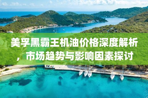 美孚黑霸王机油价格深度解析，市场趋势与影响因素探讨