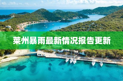 莱州暴雨最新情况报告更新