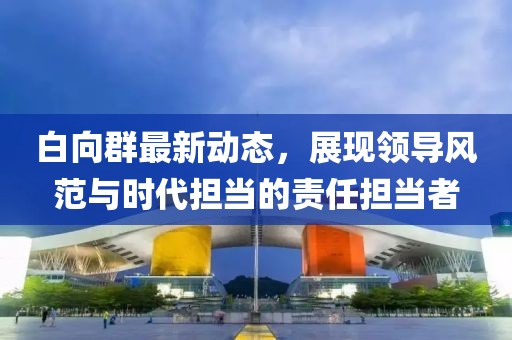 白向群最新动态，展现领导风范与时代担当的责任担当者