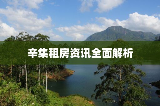 辛集租房资讯全面解析
