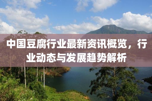 中国豆腐行业最新资讯概览，行业动态与发展趋势解析