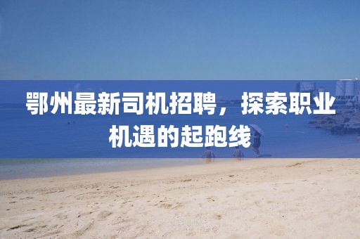 鄂州最新司机招聘，探索职业机遇的起跑线