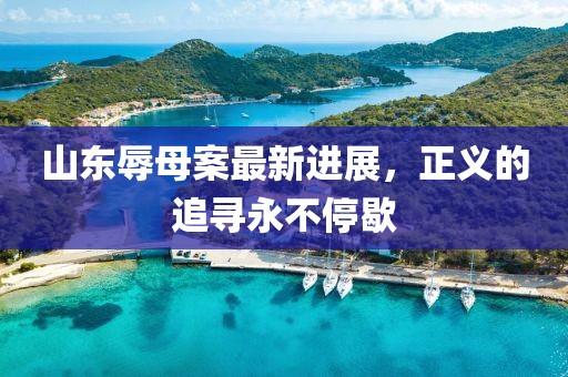 山东辱母案最新进展，正义的追寻永不停歇