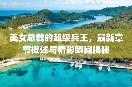 美女总裁的超级兵王，最新章节概述与精彩瞬间揭秘