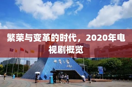 繁荣与变革的时代，2020年电视剧概览