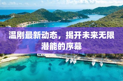 温刚最新动态，揭开未来无限潜能的序幕