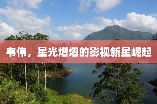 韦伟，星光熠熠的影视新星崛起