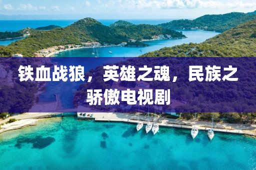 铁血战狼，英雄之魂，民族之骄傲电视剧