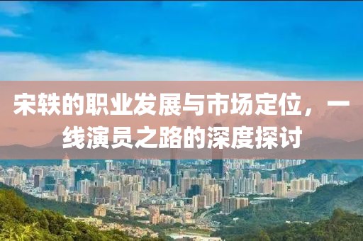 宋轶的职业发展与市场定位，一线演员之路的深度探讨
