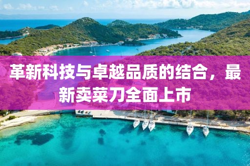 革新科技与卓越品质的结合，最新卖菜刀全面上市