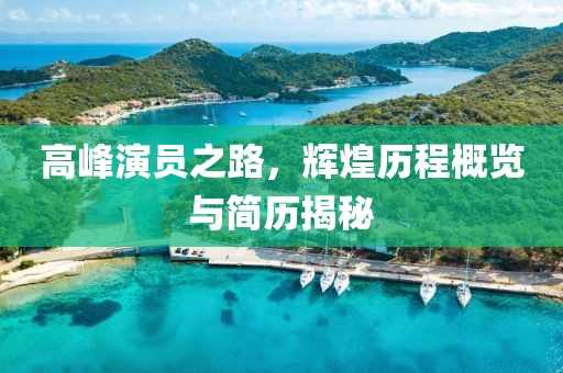 高峰演员之路，辉煌历程概览与简历揭秘