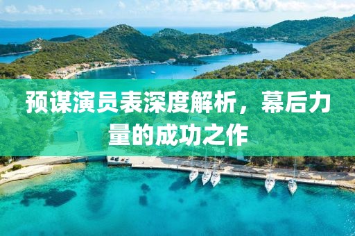 预谋演员表深度解析，幕后力量的成功之作