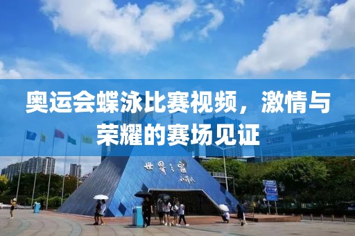 奥运会蝶泳比赛视频，激情与荣耀的赛场见证