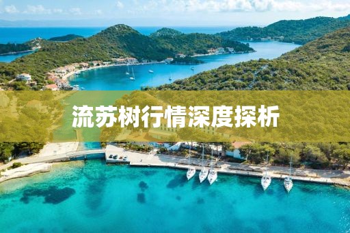 流苏树行情深度探析