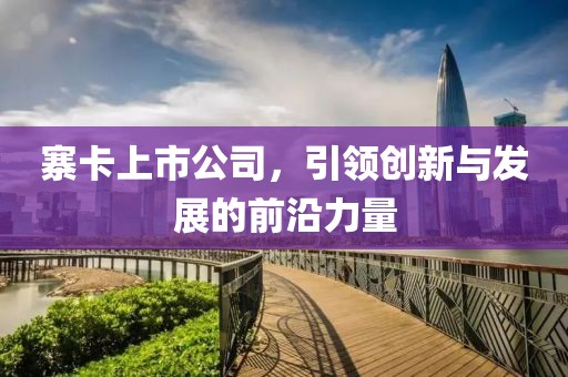 寨卡上市公司，引领创新与发展的前沿力量