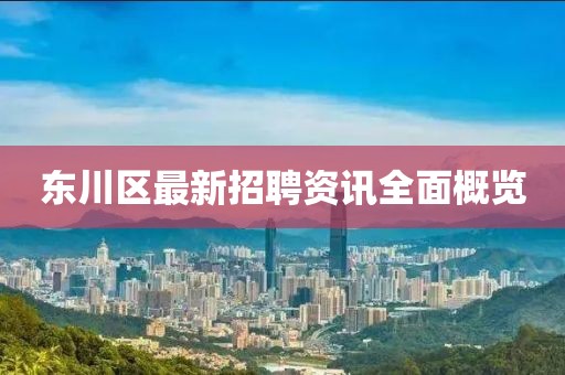 东川区最新招聘资讯全面概览