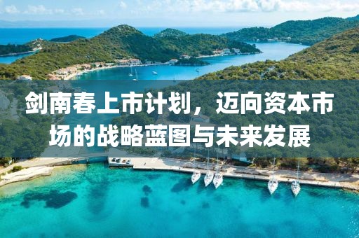 剑南春上市计划，迈向资本市场的战略蓝图与未来发展