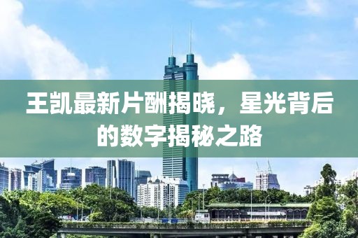 王凯最新片酬揭晓，星光背后的数字揭秘之路