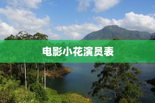 电影小花演员表